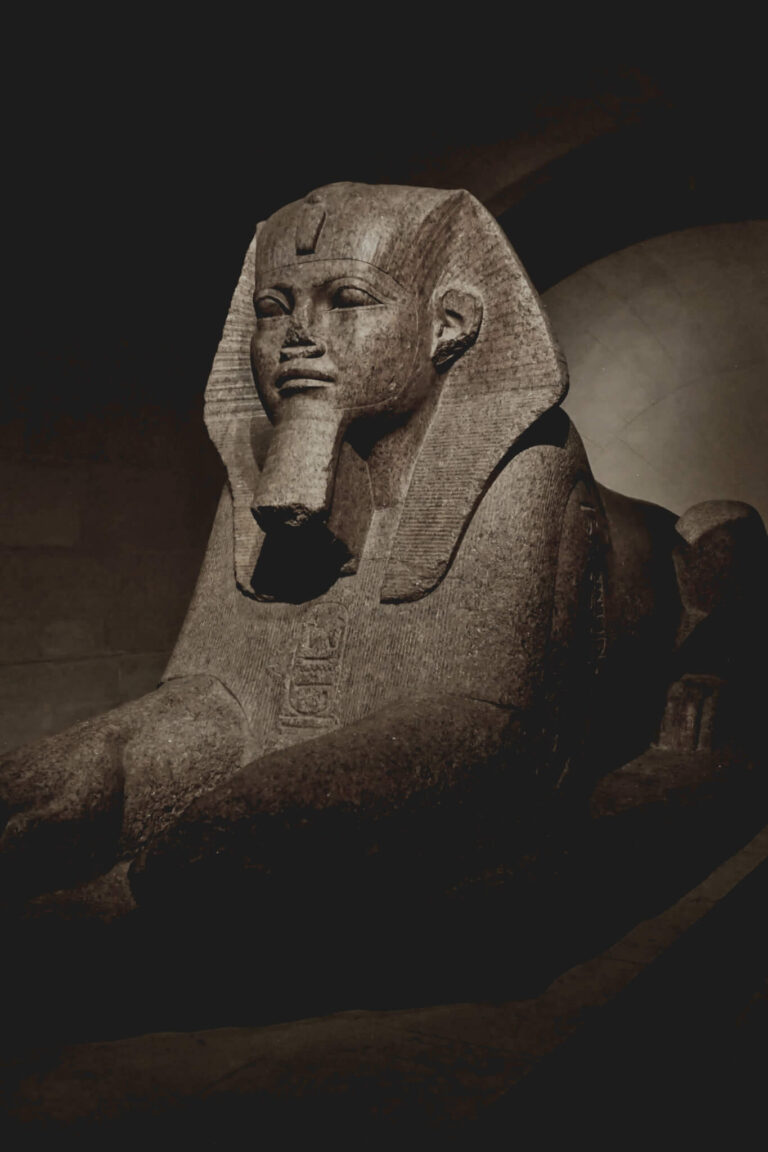 Scopri di più sull'articolo Gallerie Protette: Sicurezza e Privacy per le Tue Immagini Riservate