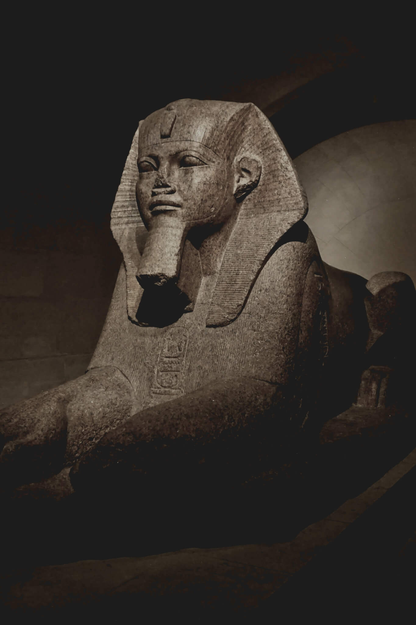 Scopri di più sull'articolo Gallerie Protette: Sicurezza e Privacy per le Tue Immagini Riservate